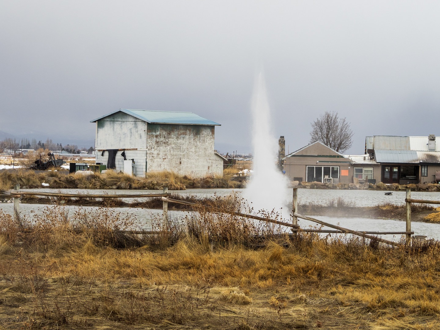 Old Perpetual erupting.