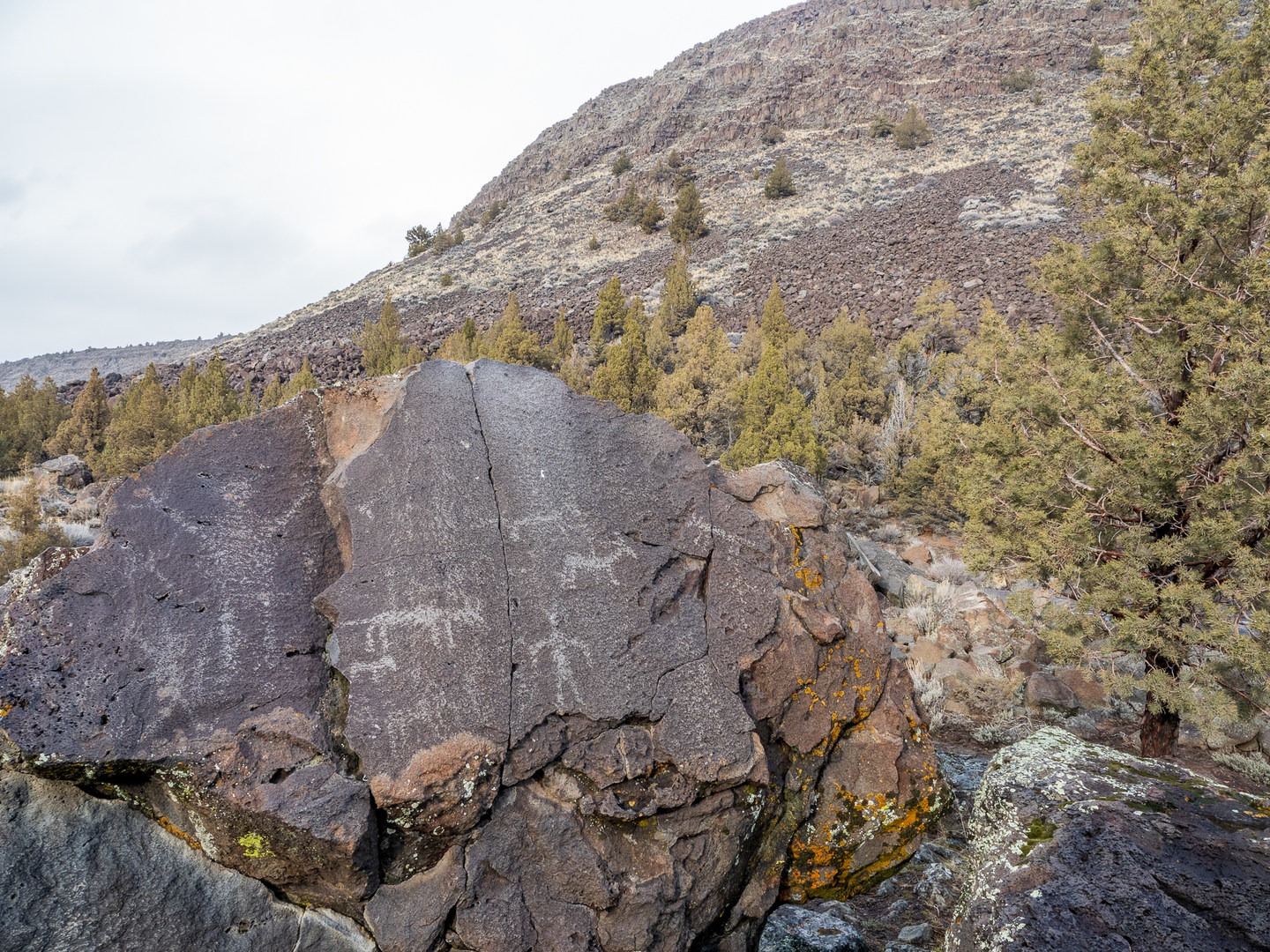 The petroglyphs are well worth the short walk!