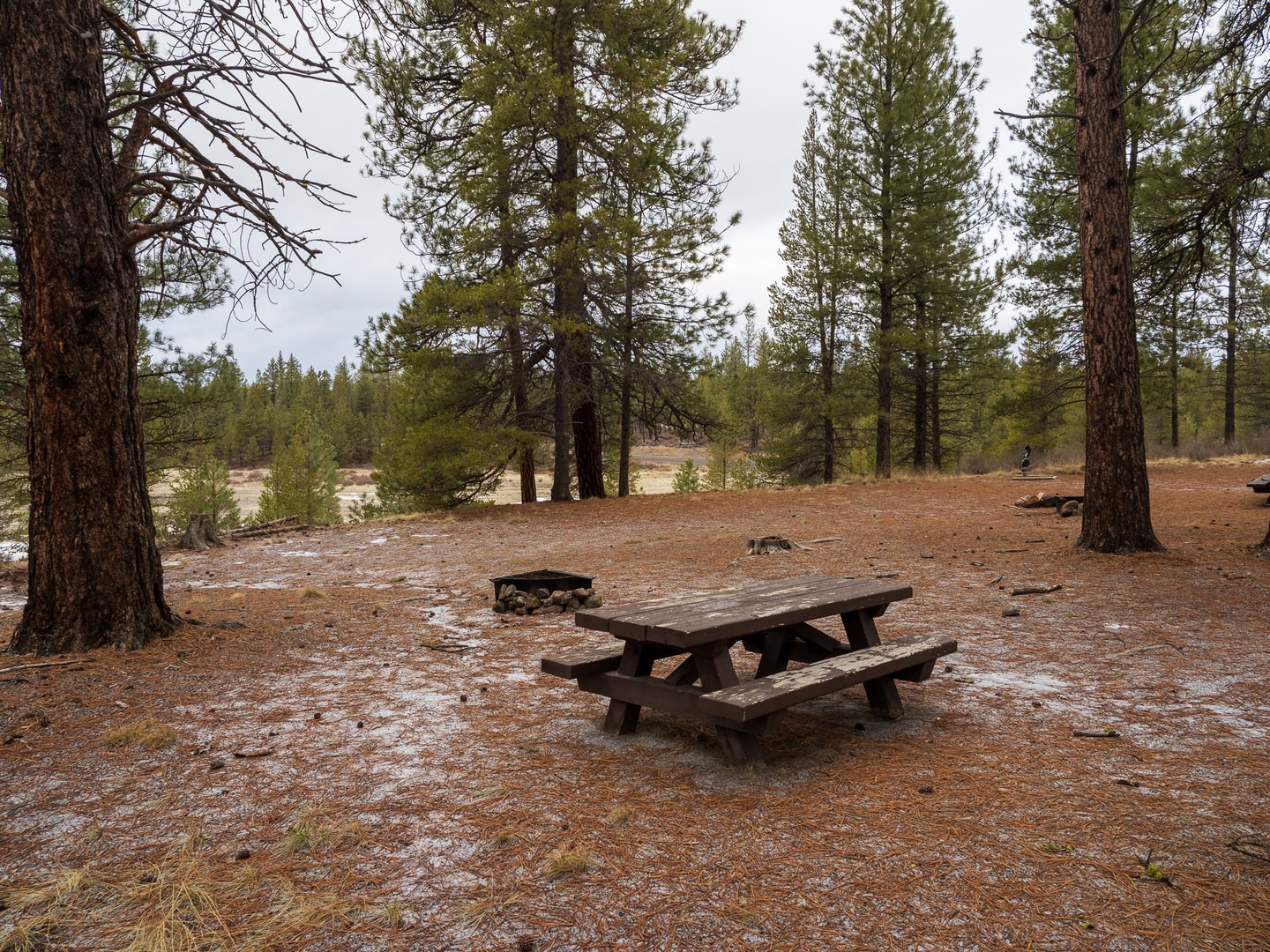 A typical campsite at Prairie Campground.