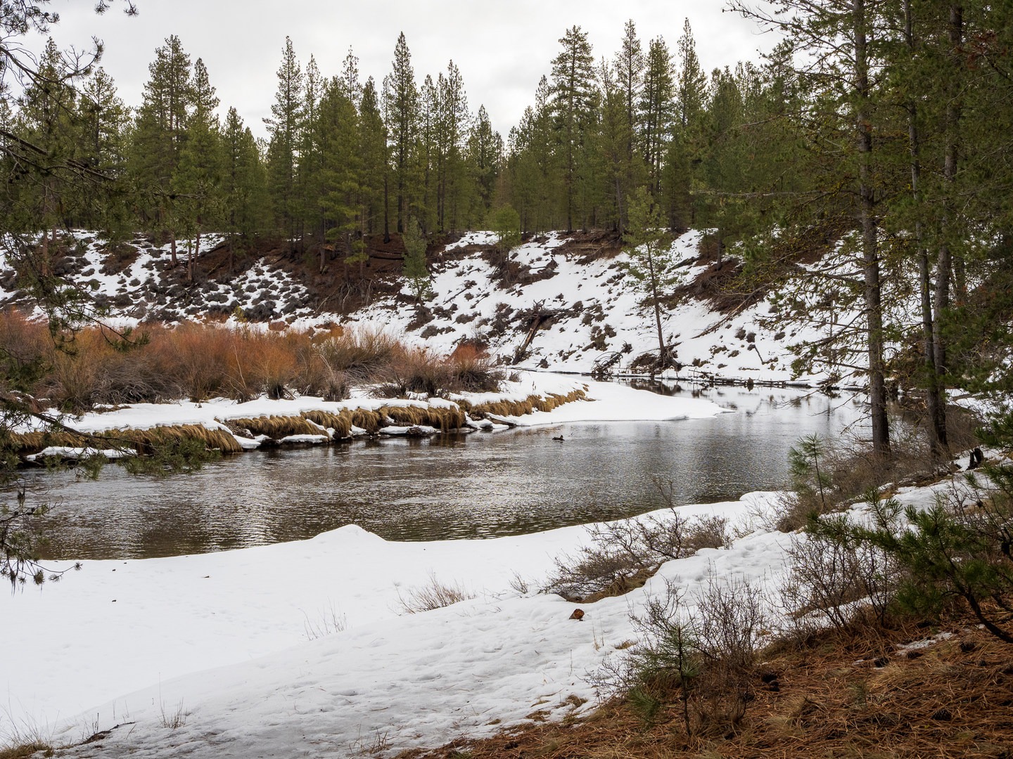 The Deschutes River.