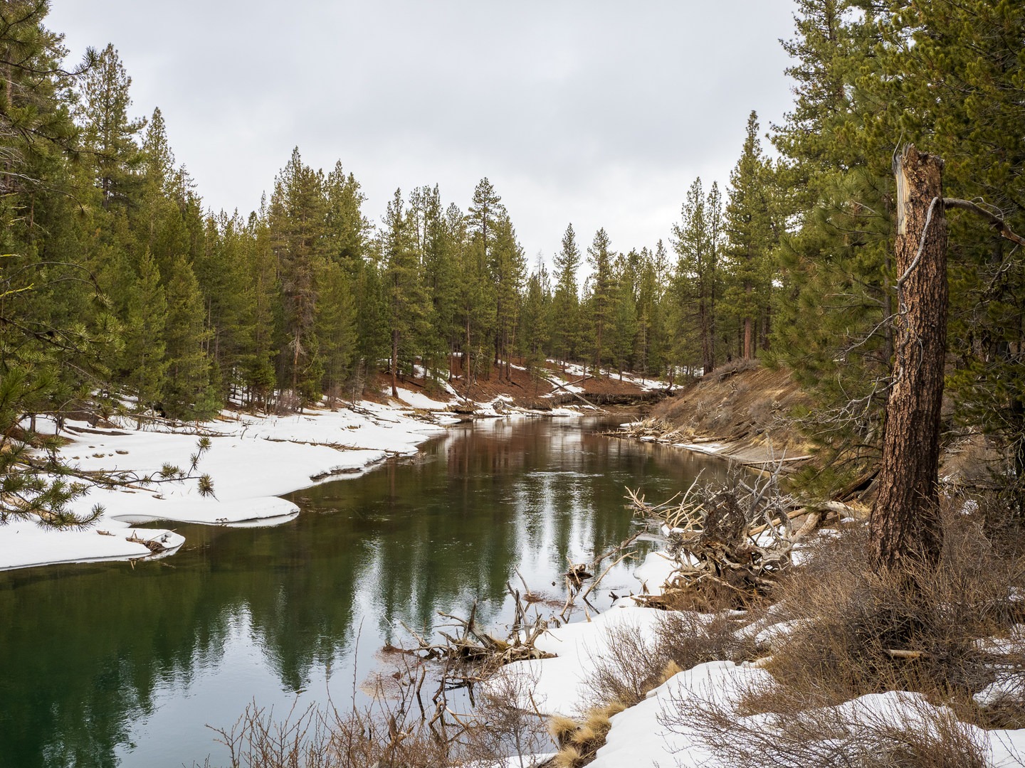 The Deschutes River from the Cougar Woods Trail.