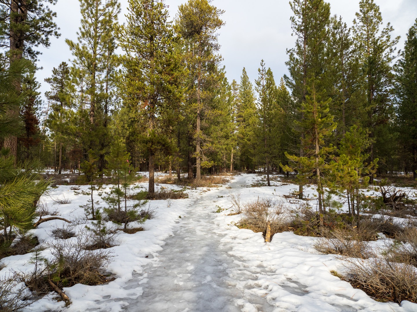 Heading back to the campground on the Nature Trail.