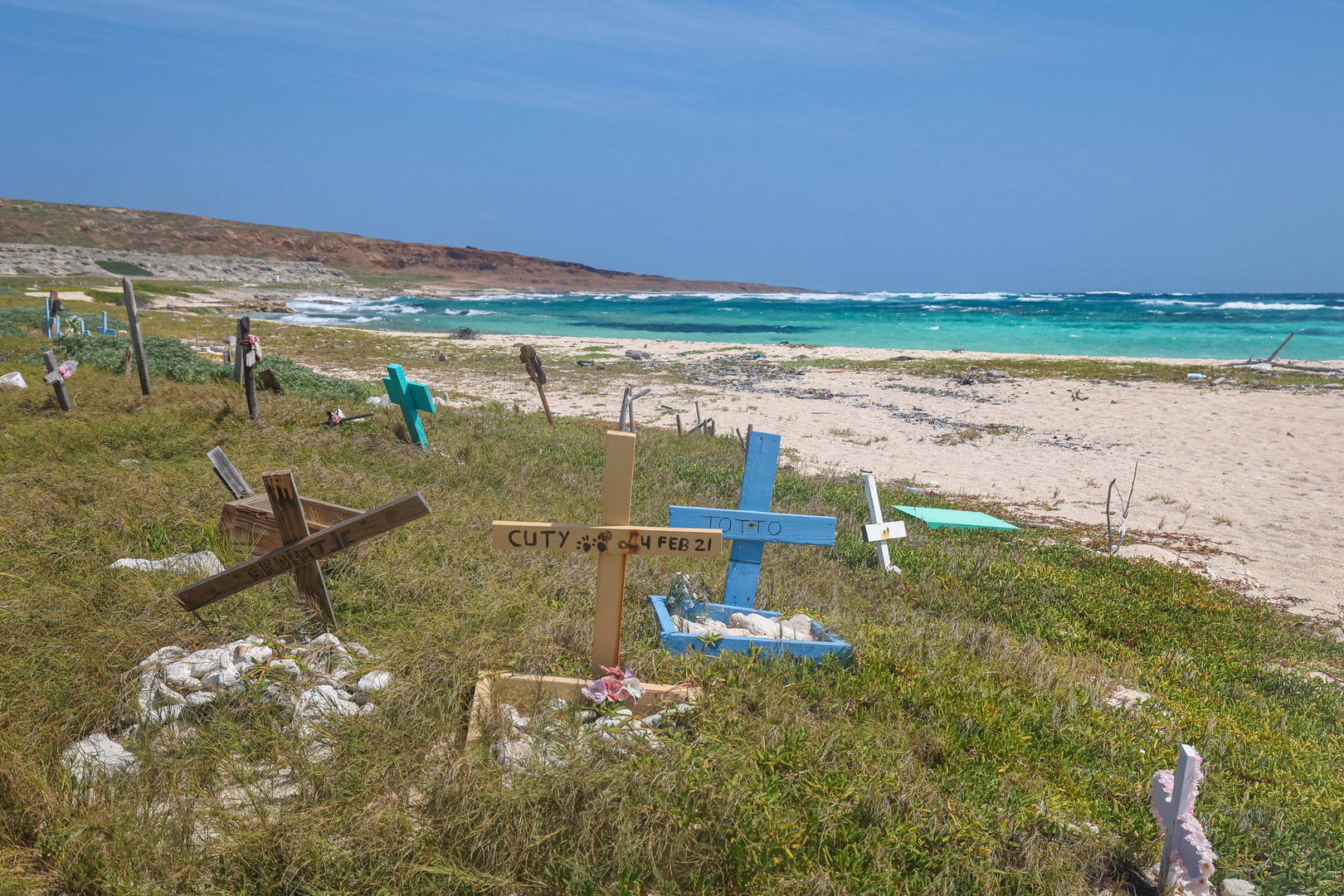 Pet Cemetery Beach.