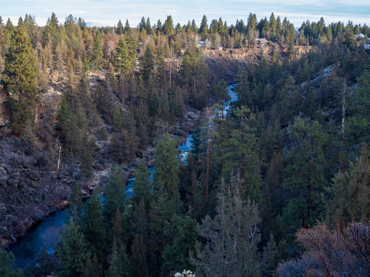 The Deschutes River from Archie Briggs Canyon Natural Area.
