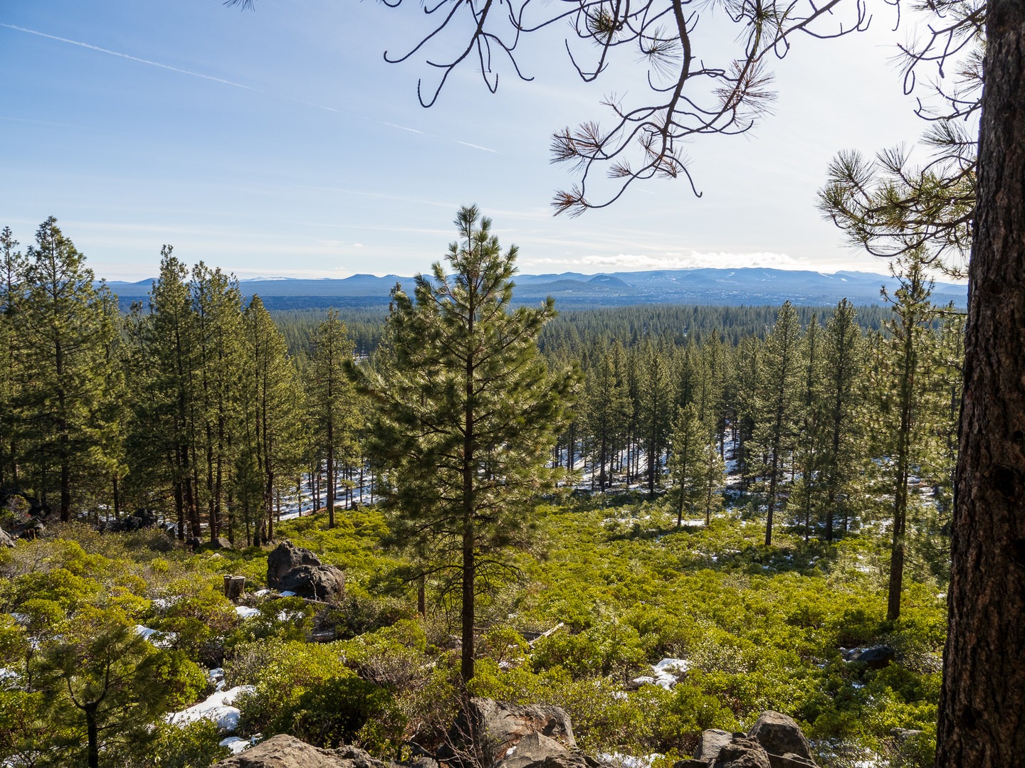 Views toward Newberry Volcano from the viewpoint.