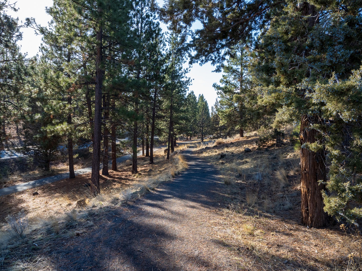 The West Bend Trail and Rim Rock Natural Area.