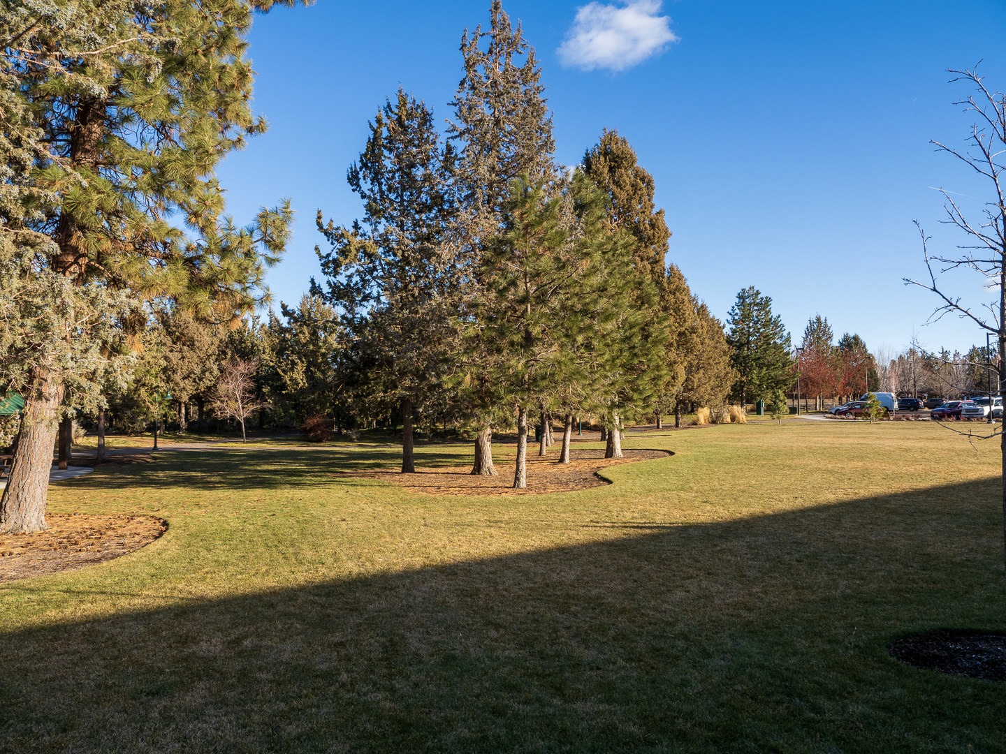 Larkspur Park Outdoor Project