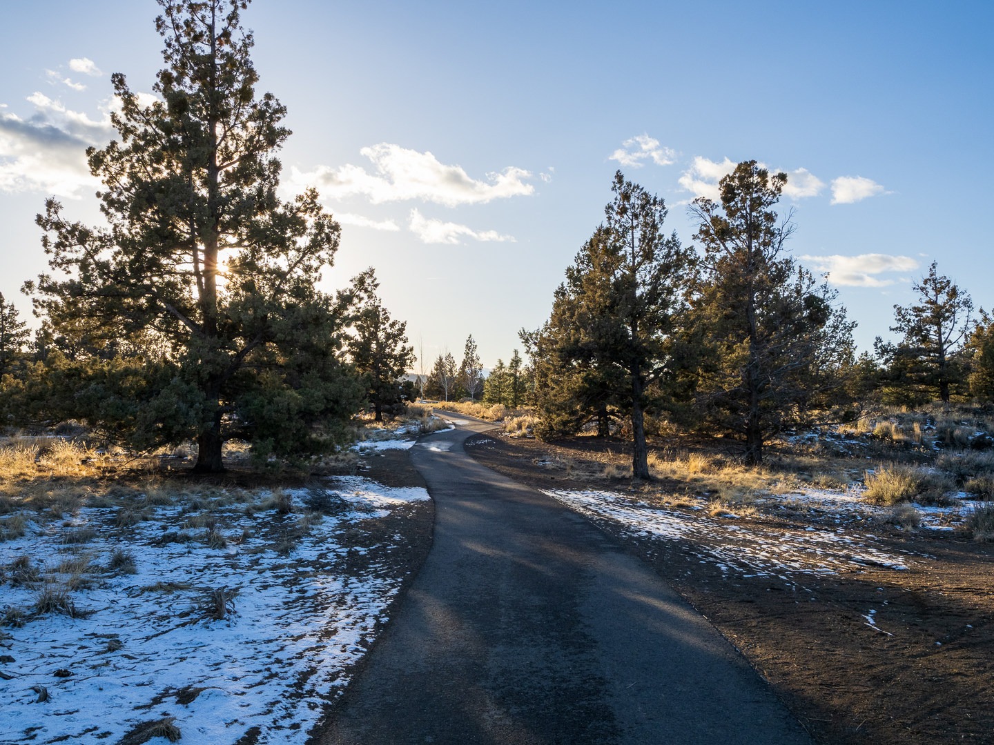 Walkway through the natural area.
