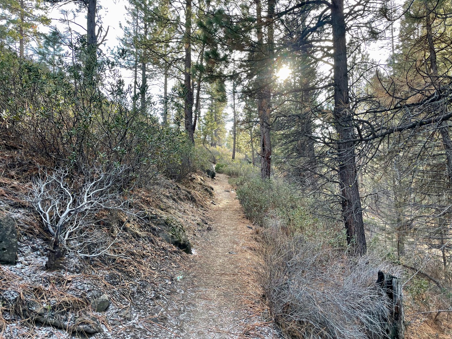 Shevlin Loop Trail Outdoor Project