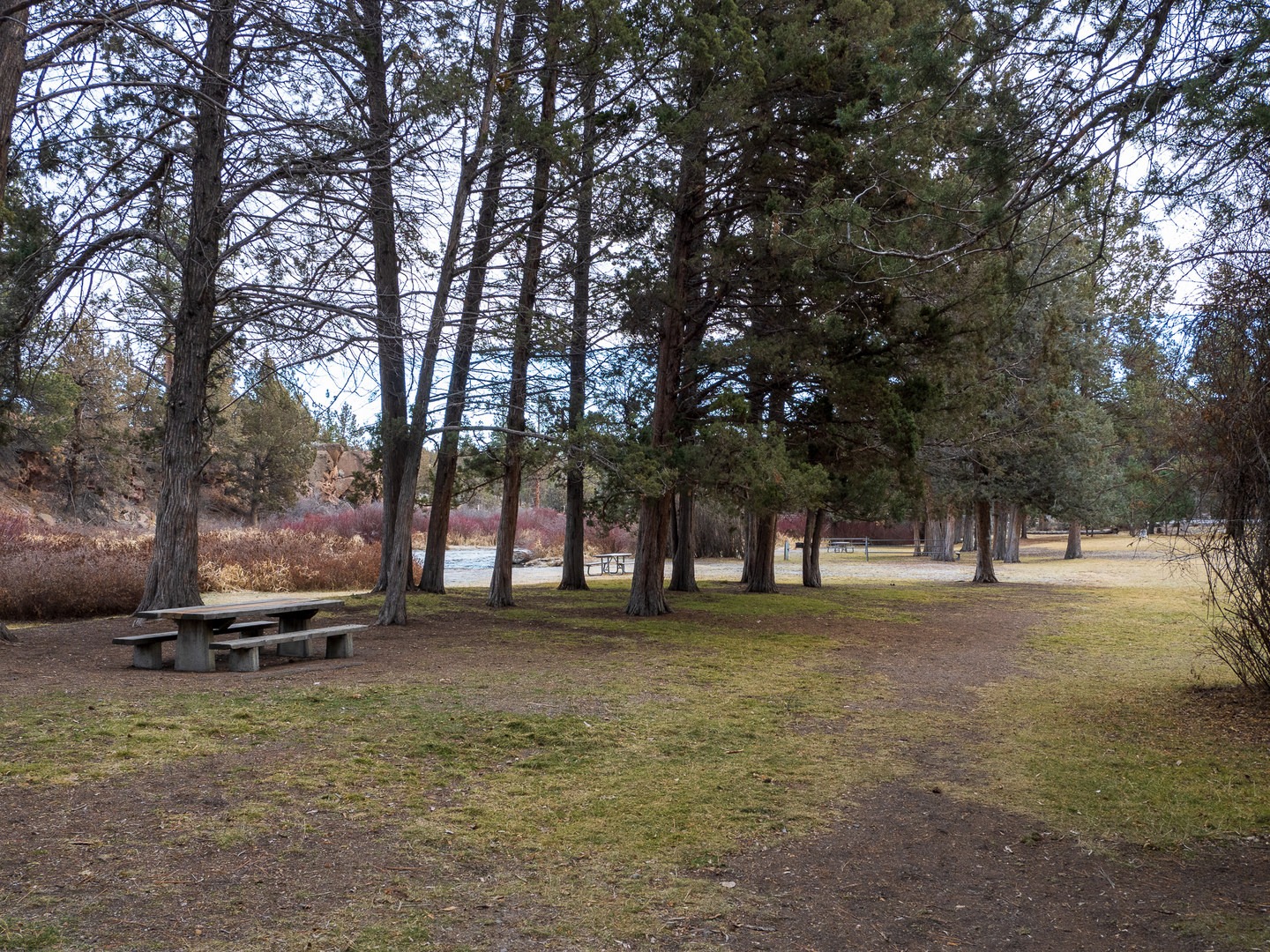 Day use area alongside the Deschutes River.