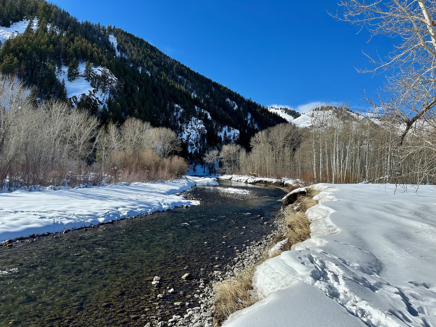 The trail passes near the Big Wood River.