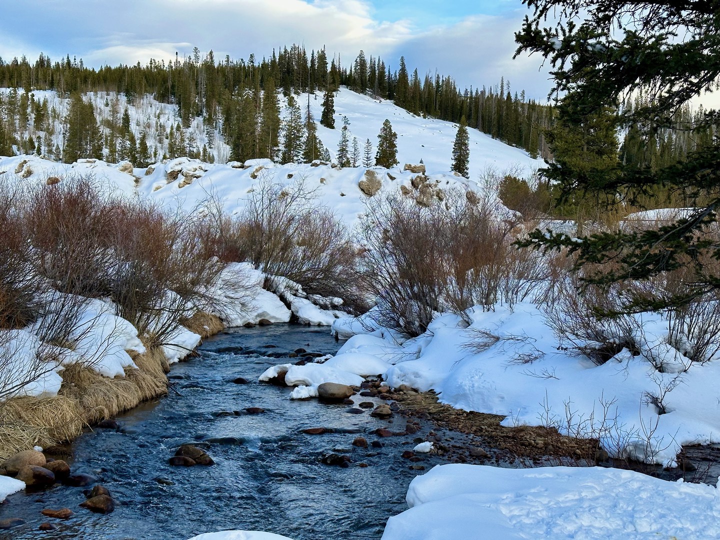 The Fraser River near the confluence with Vasquez Creek.