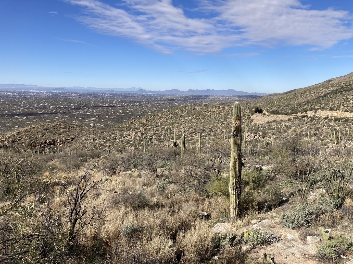 View of Tucson from Babad Do'ag Vista Point.