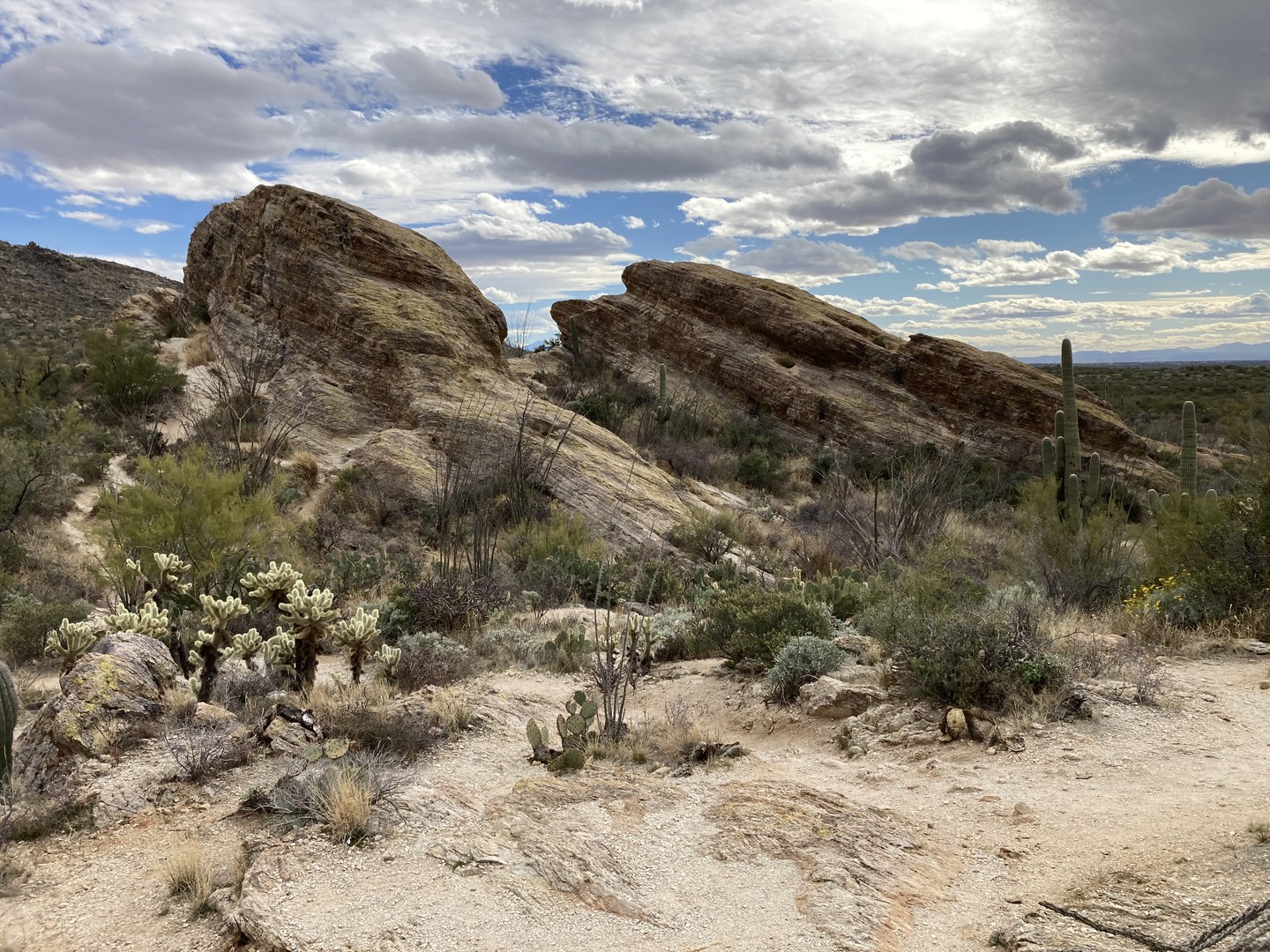 Javelina Rocks Overlook.