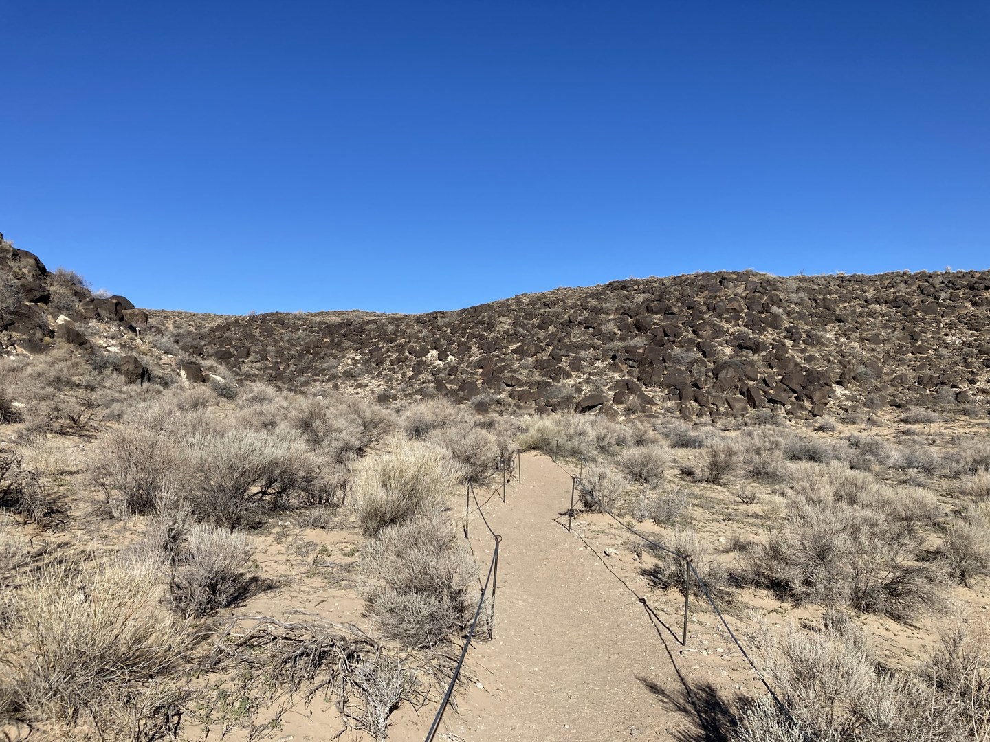 Piedras Marcadas Canyon Trail, Petroglyph National Monument.
