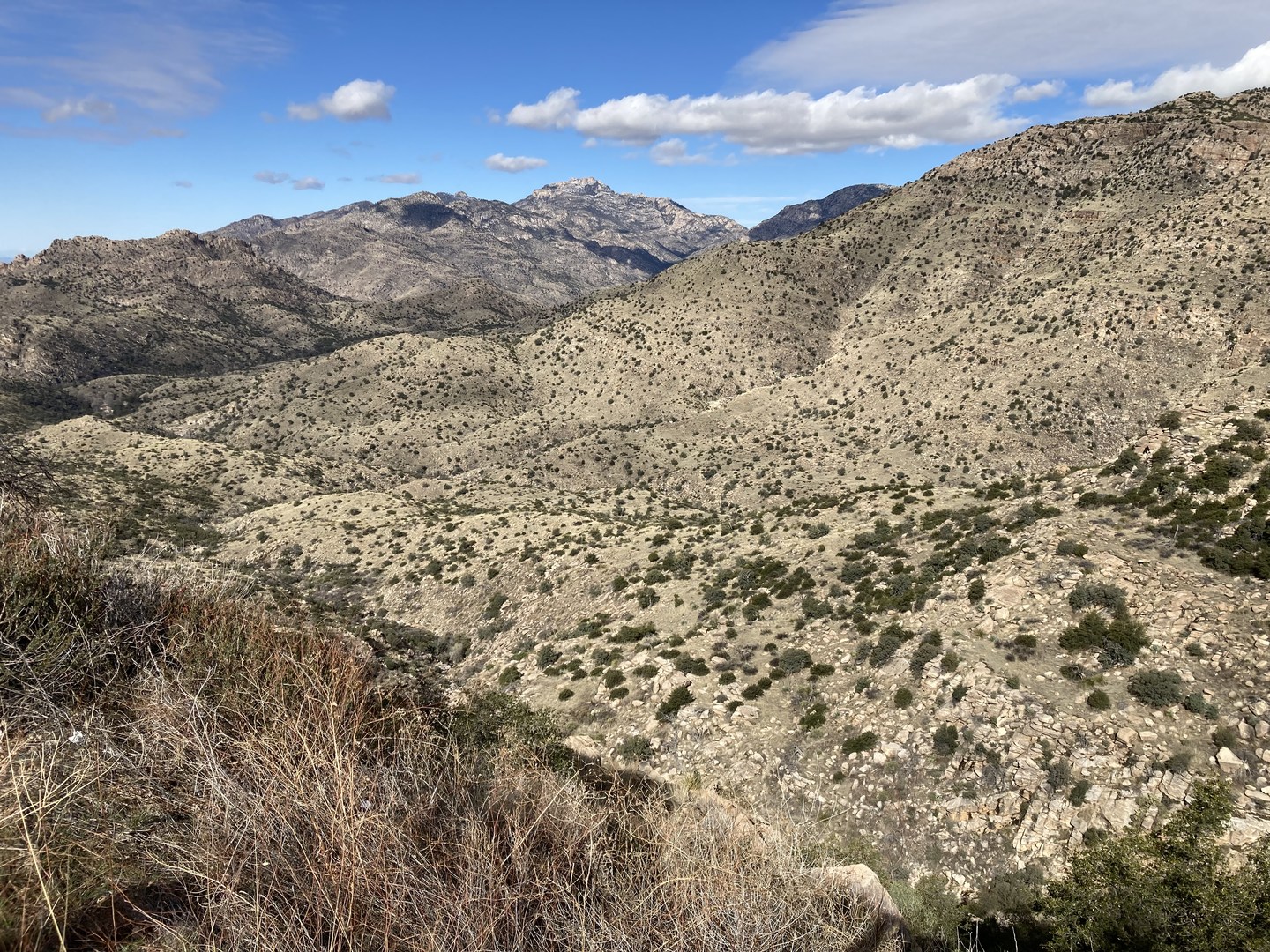 View from Thimble Peak Vista.