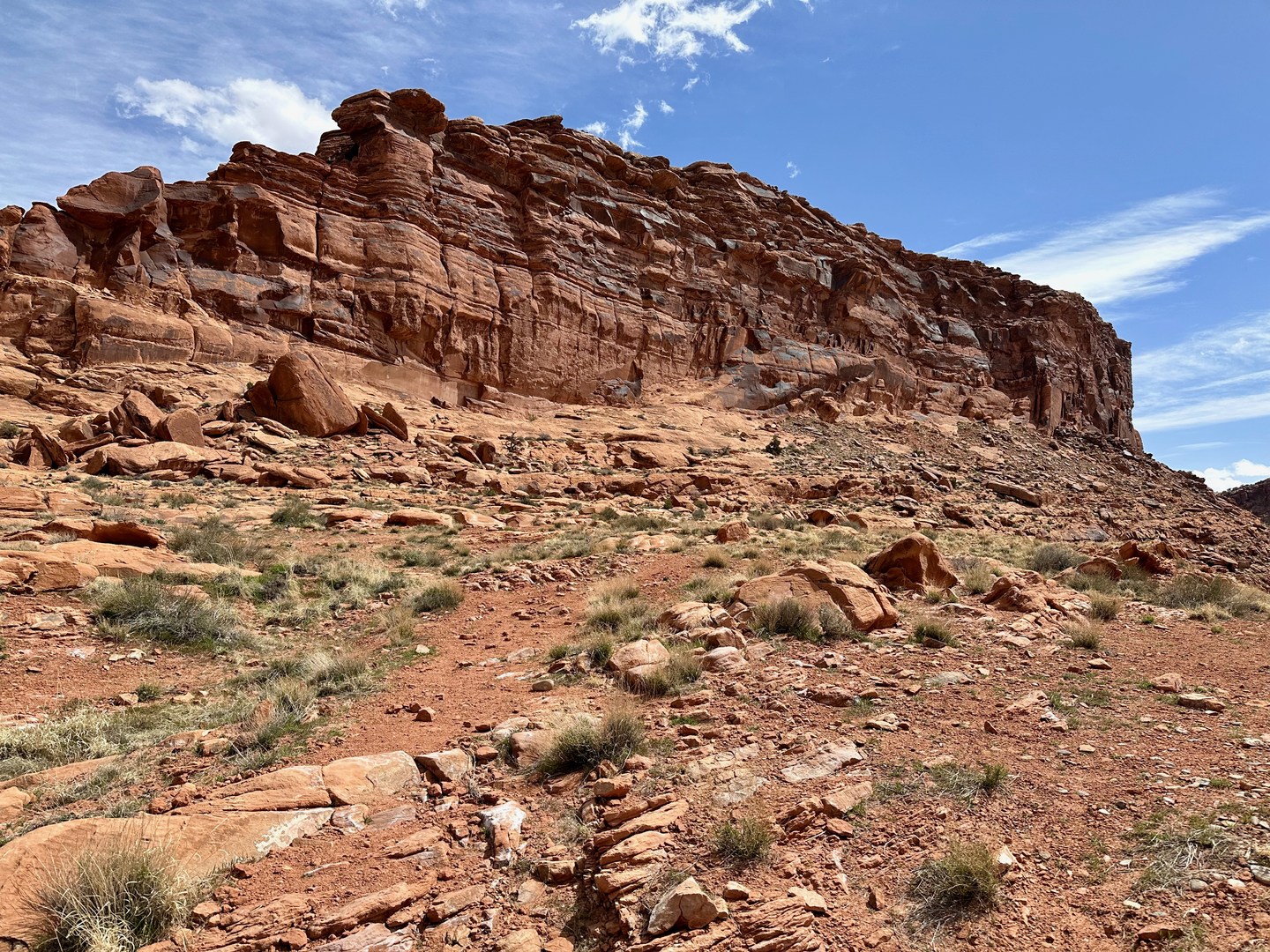The rock art panel is located up at the base of the cliff.