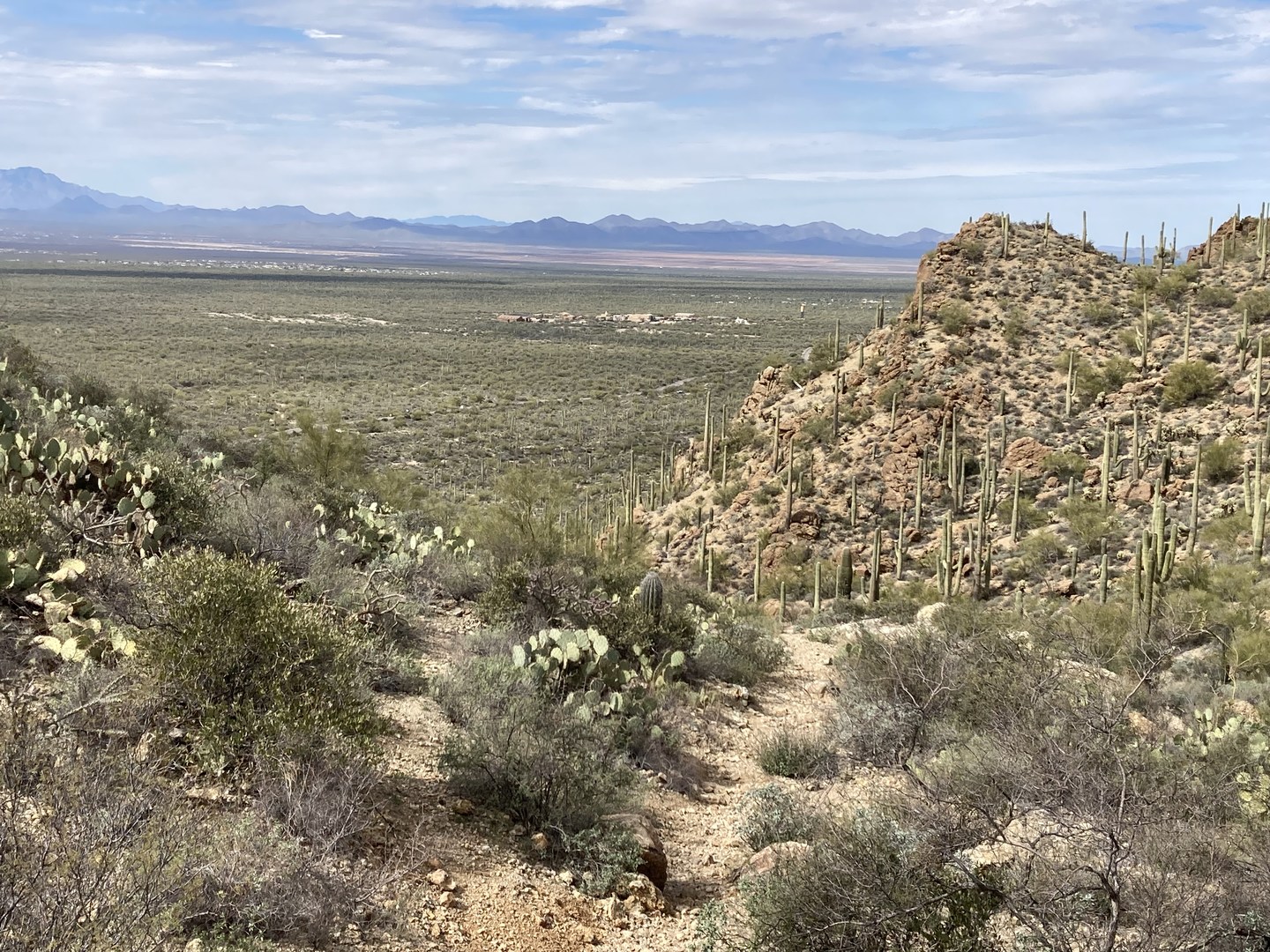 View from Gates Pass.