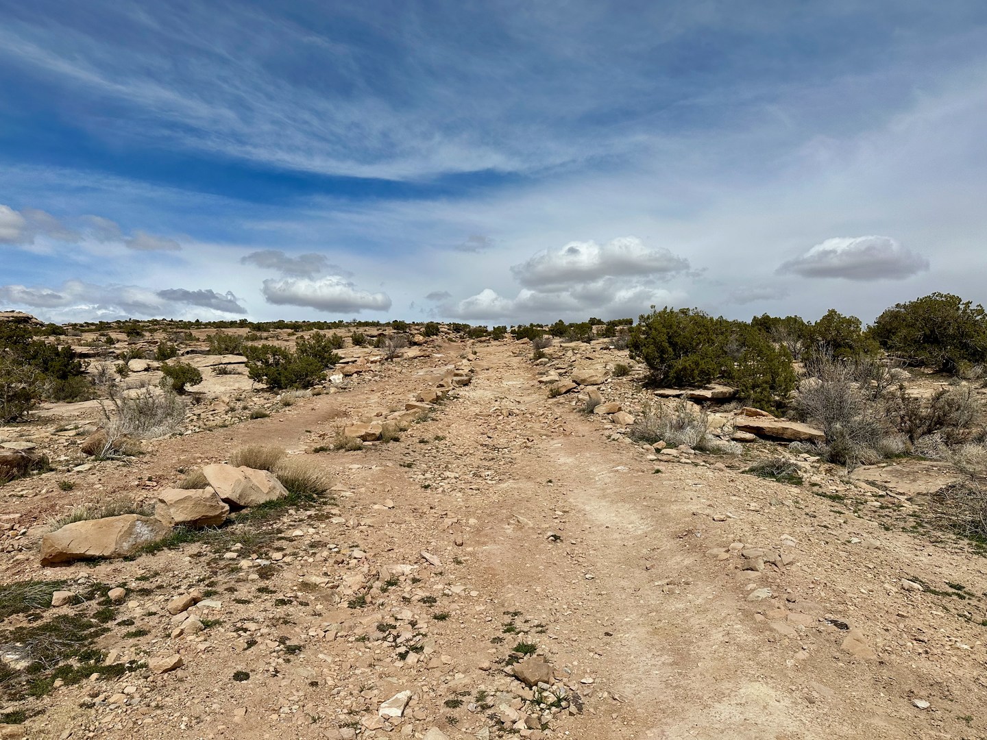 The trail leading to the tracksite.