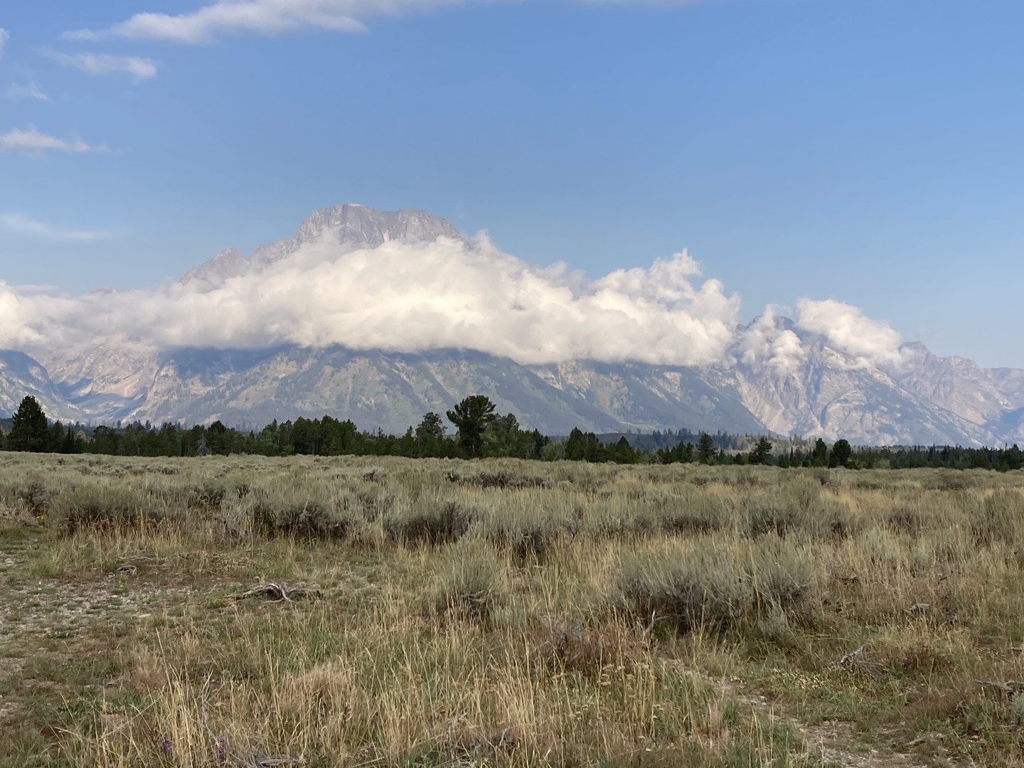 View of Mount Moran from Mount Moran Turnout.