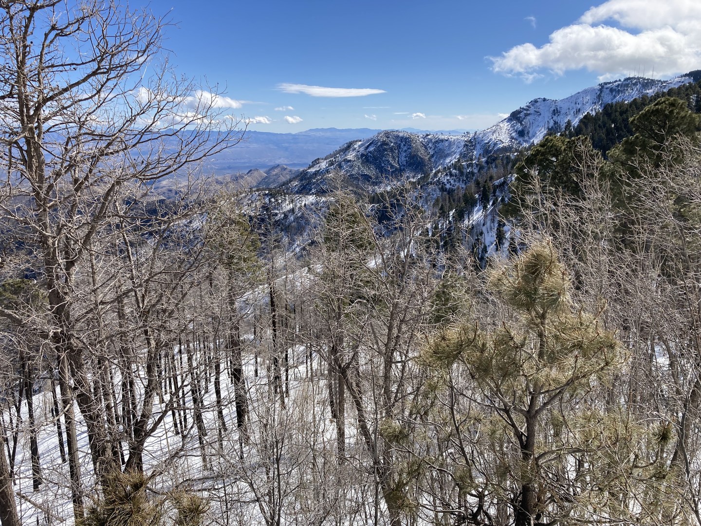 View from Aspen Vista Point.