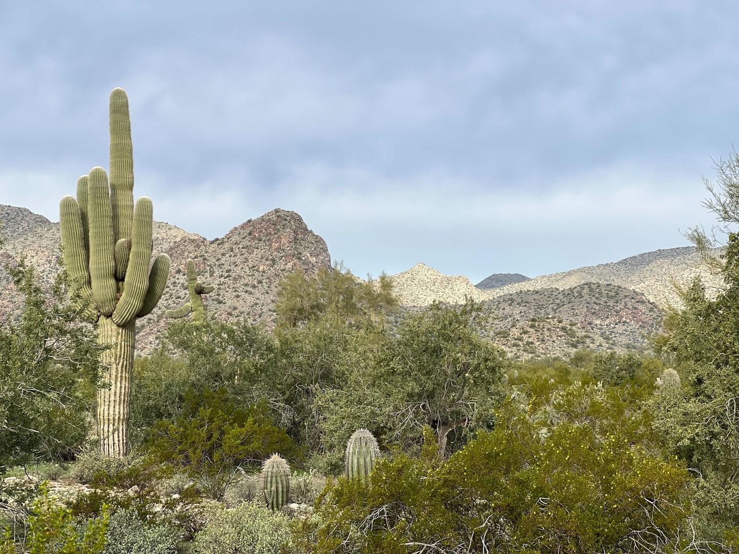 View looking towards Ford Canyon.