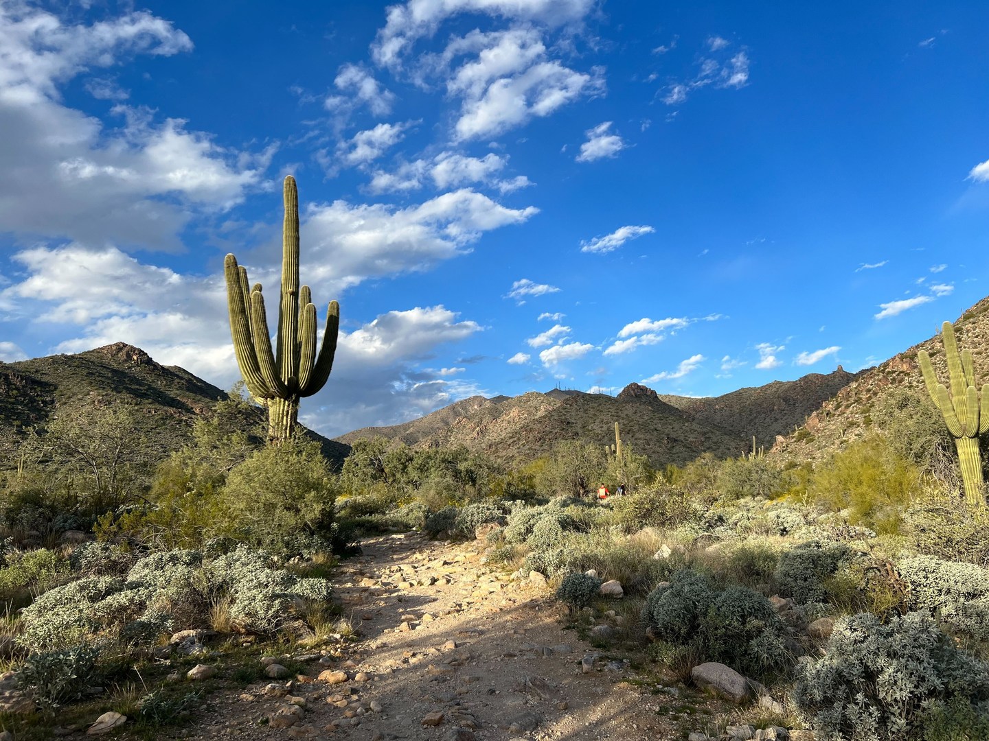 View close to the trailhead.