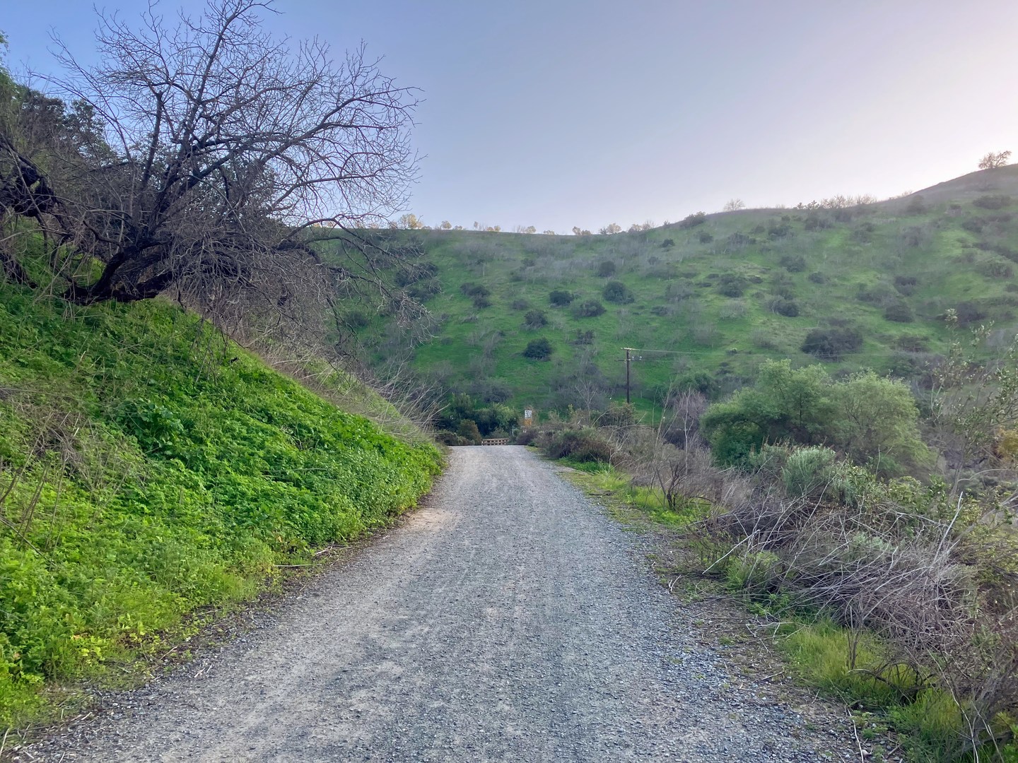 Beginning the Telegraph Canyon Trail.