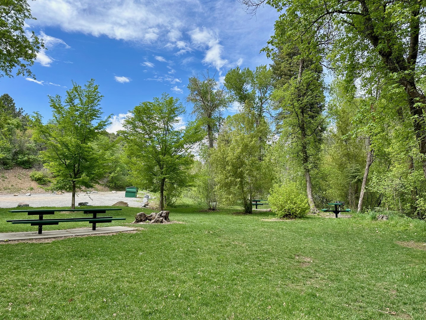 Lots of open green space to picnic or recreate.
