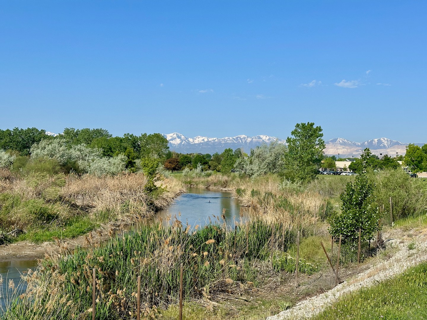 Jordan River and mountains in the distance.