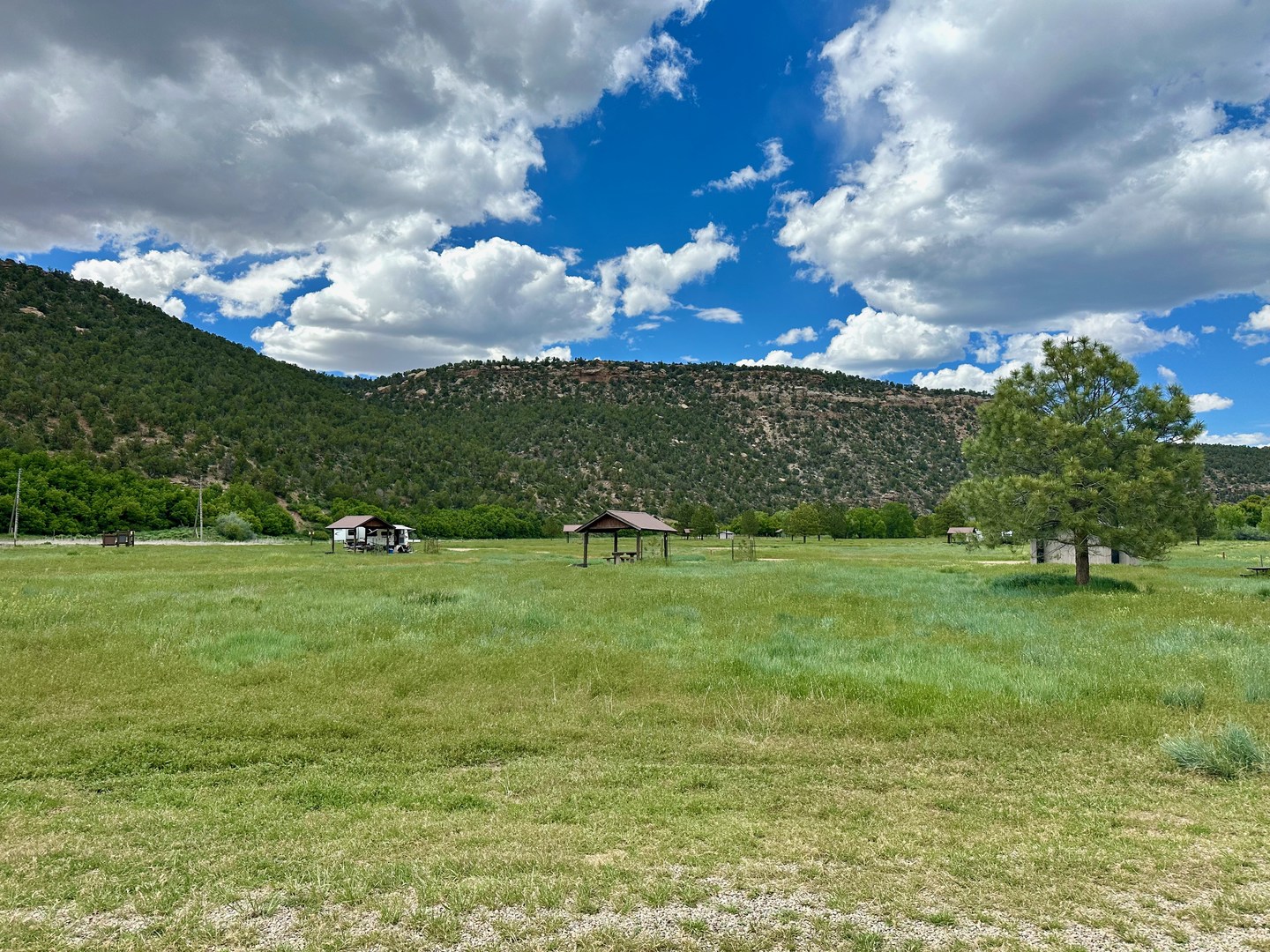 The campsites are within an open field area.