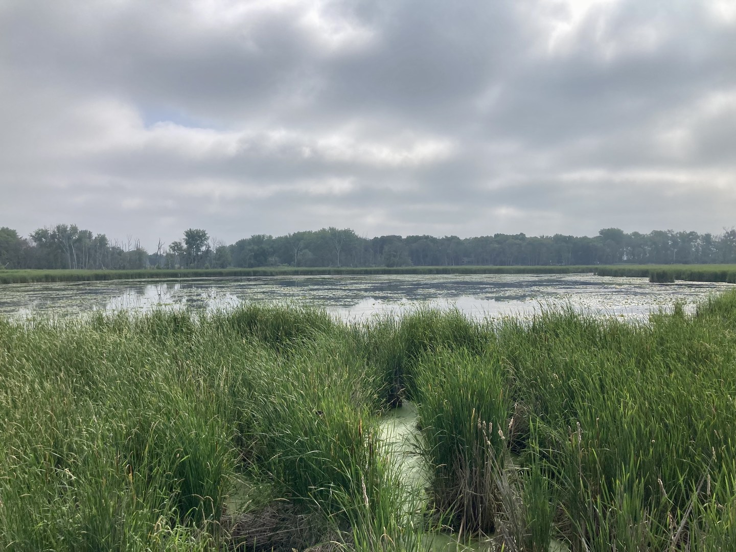 Centerville Lake Loop Outdoor Project