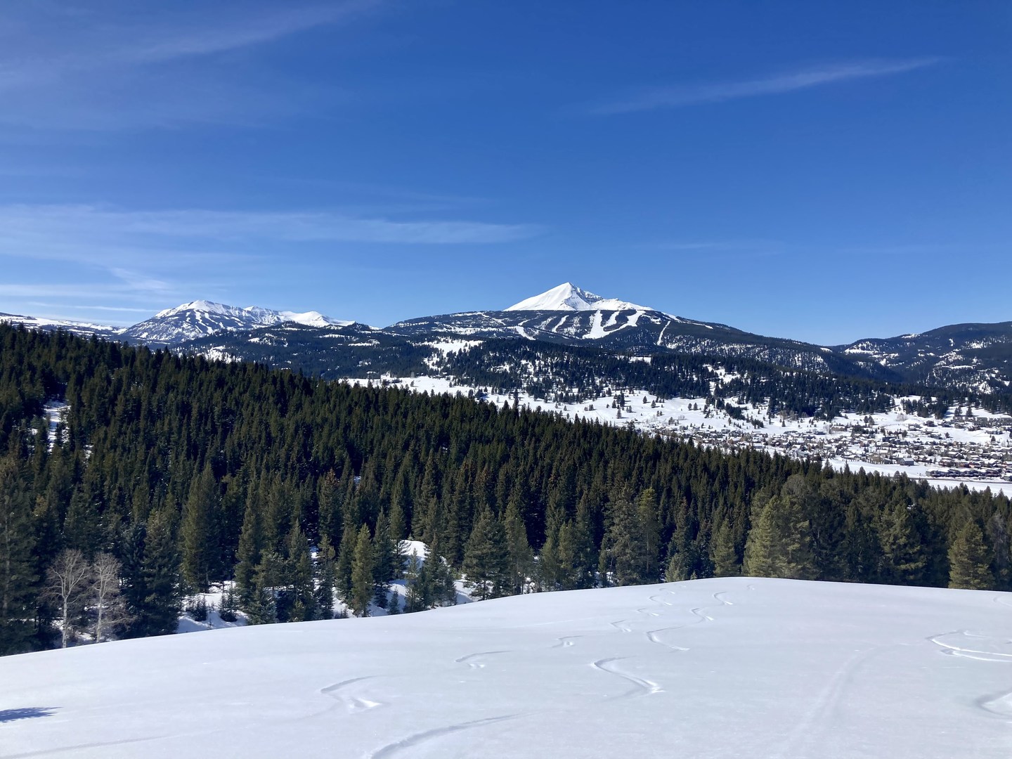 Lone Mountain in the distance.
