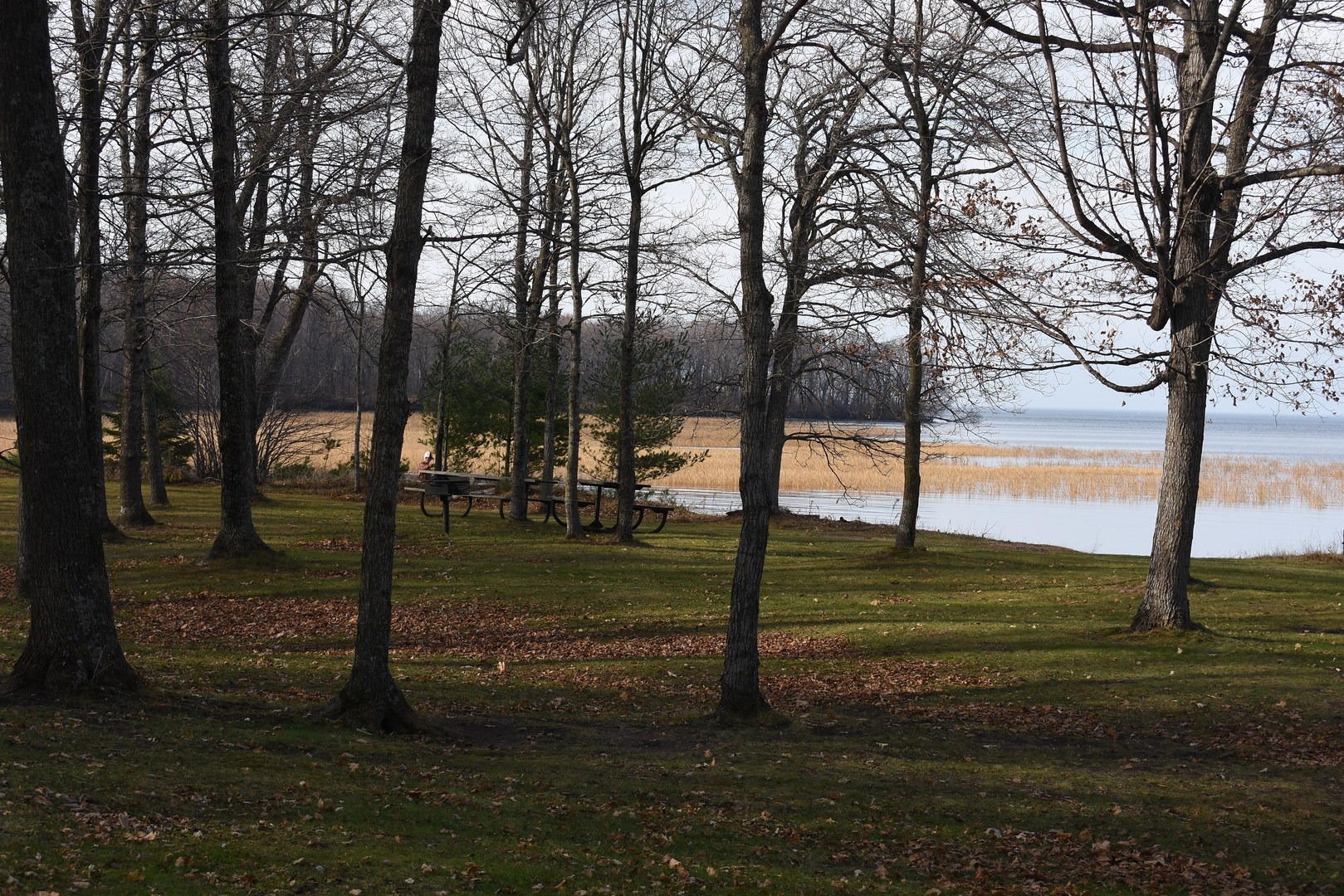 View of Lake Mille Lacs from Hiking Club Trail at Father Hennepin State Park.