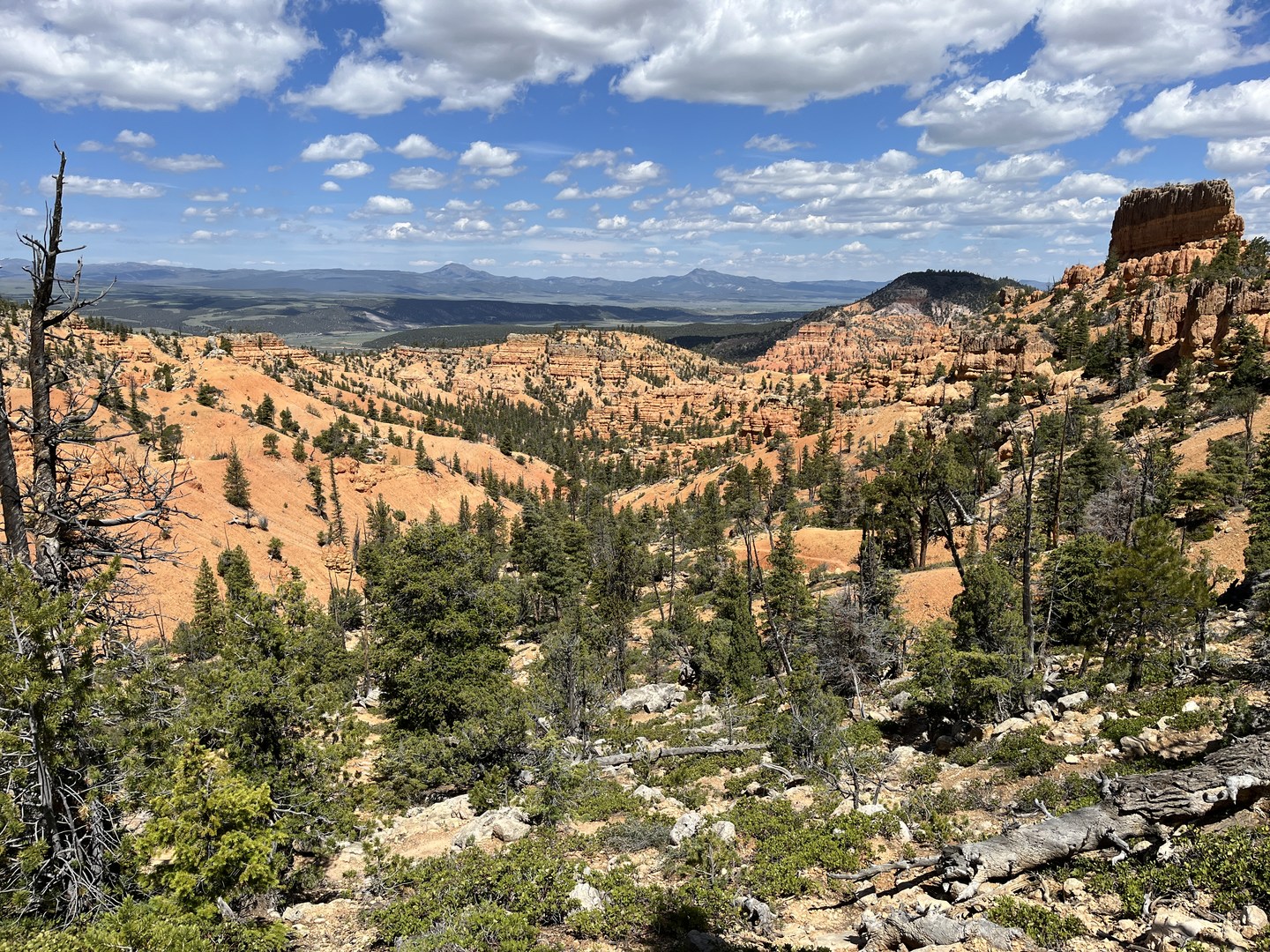 View looking towards Panguitch, UT.