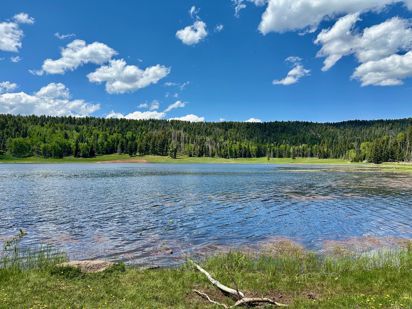 San Gregorio Reservoir.