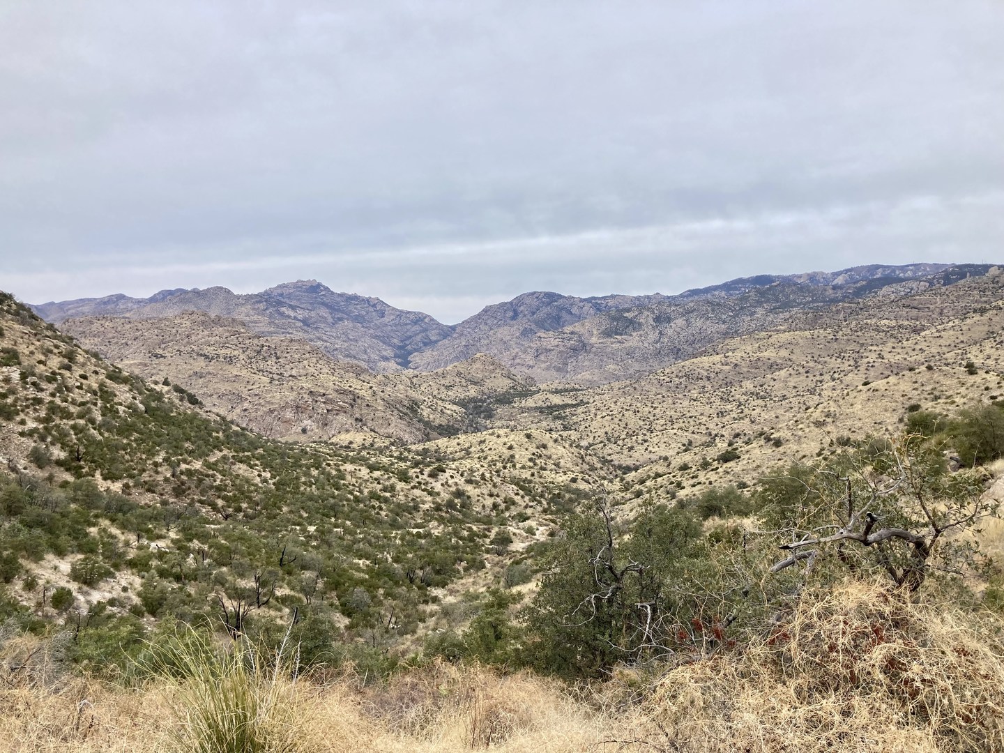 Thimble Peak via Sycamore Reservoir Trail Outdoor Project