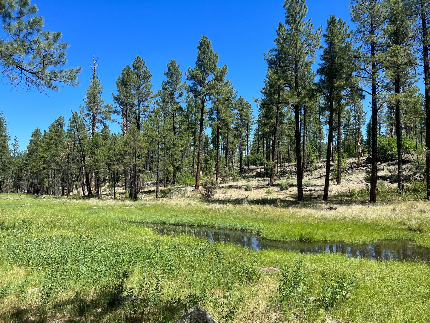 View from the trail.