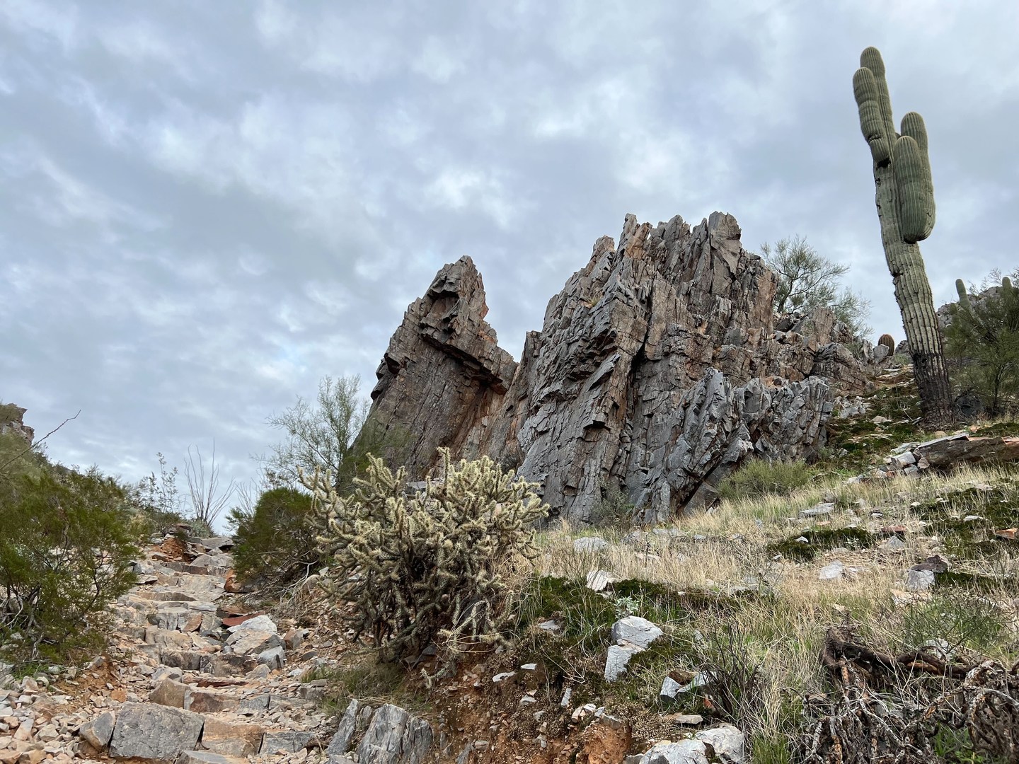 View of the surrounding rock formations and fauna.