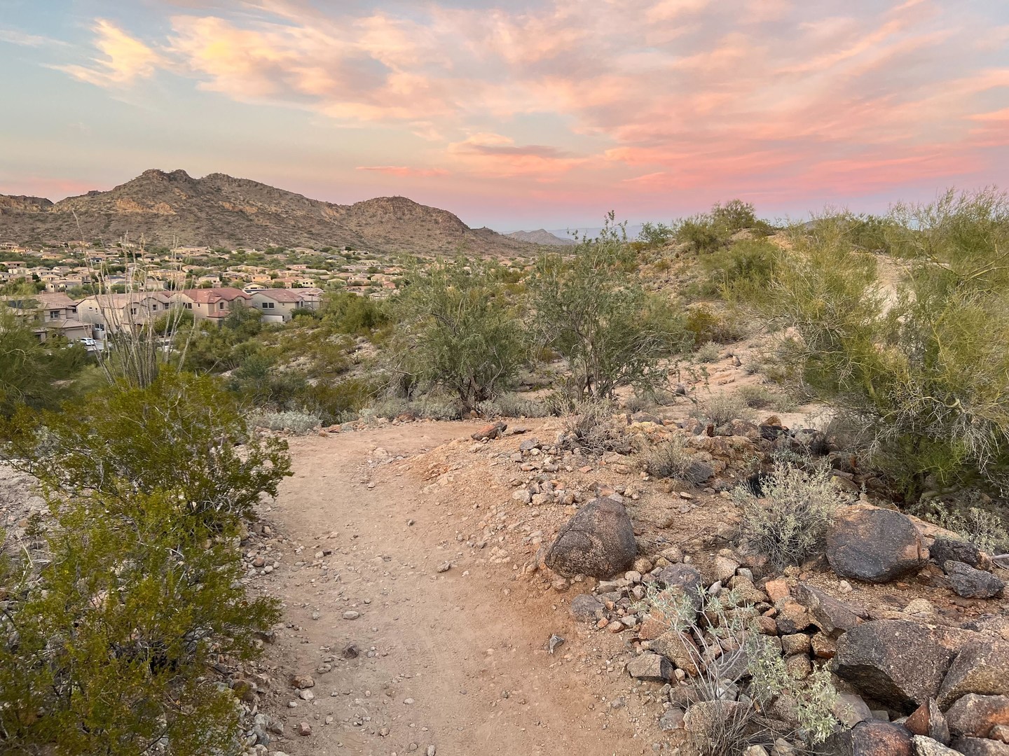 View to the north at sunset.