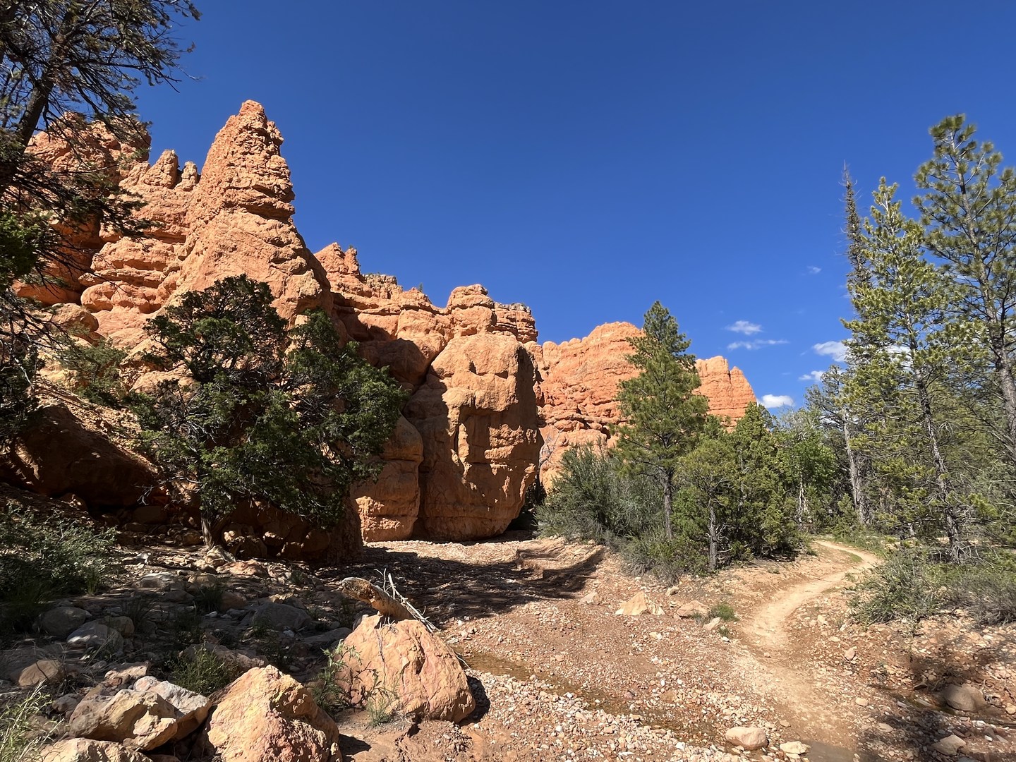 View of Losee Canyon trail.