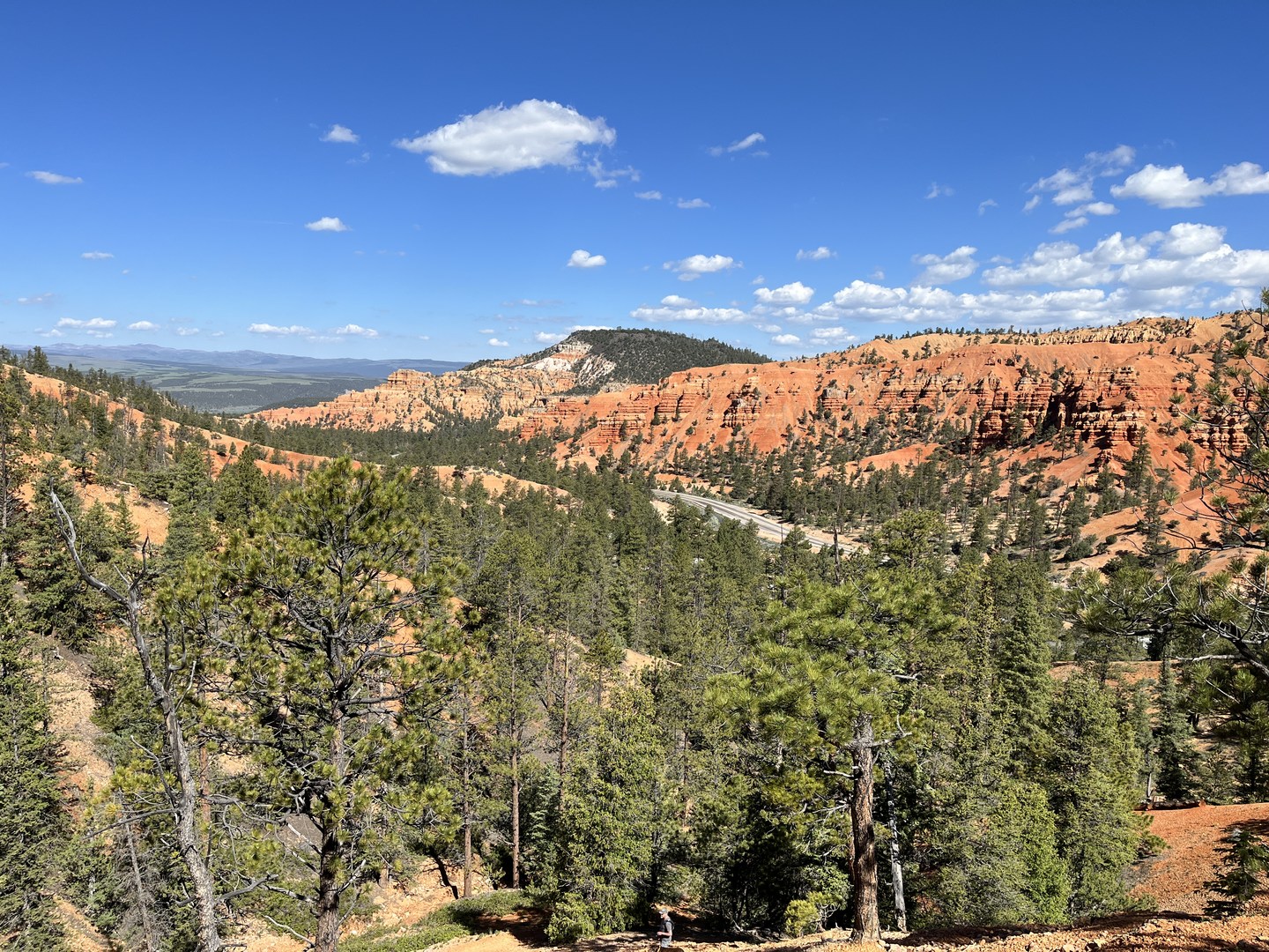 View from the Buckhorn trail.