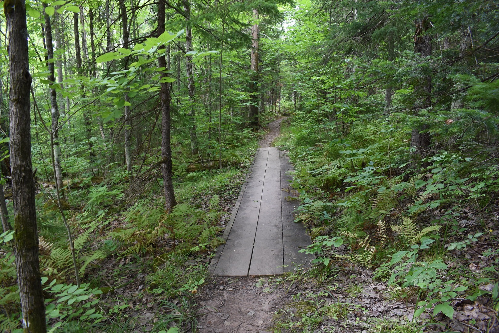 Cascade Falls Trail.