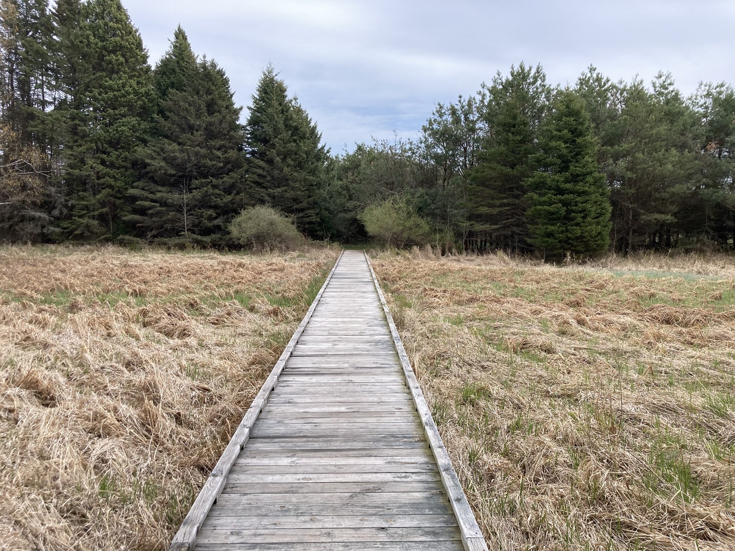 Ancient Shores Trail.