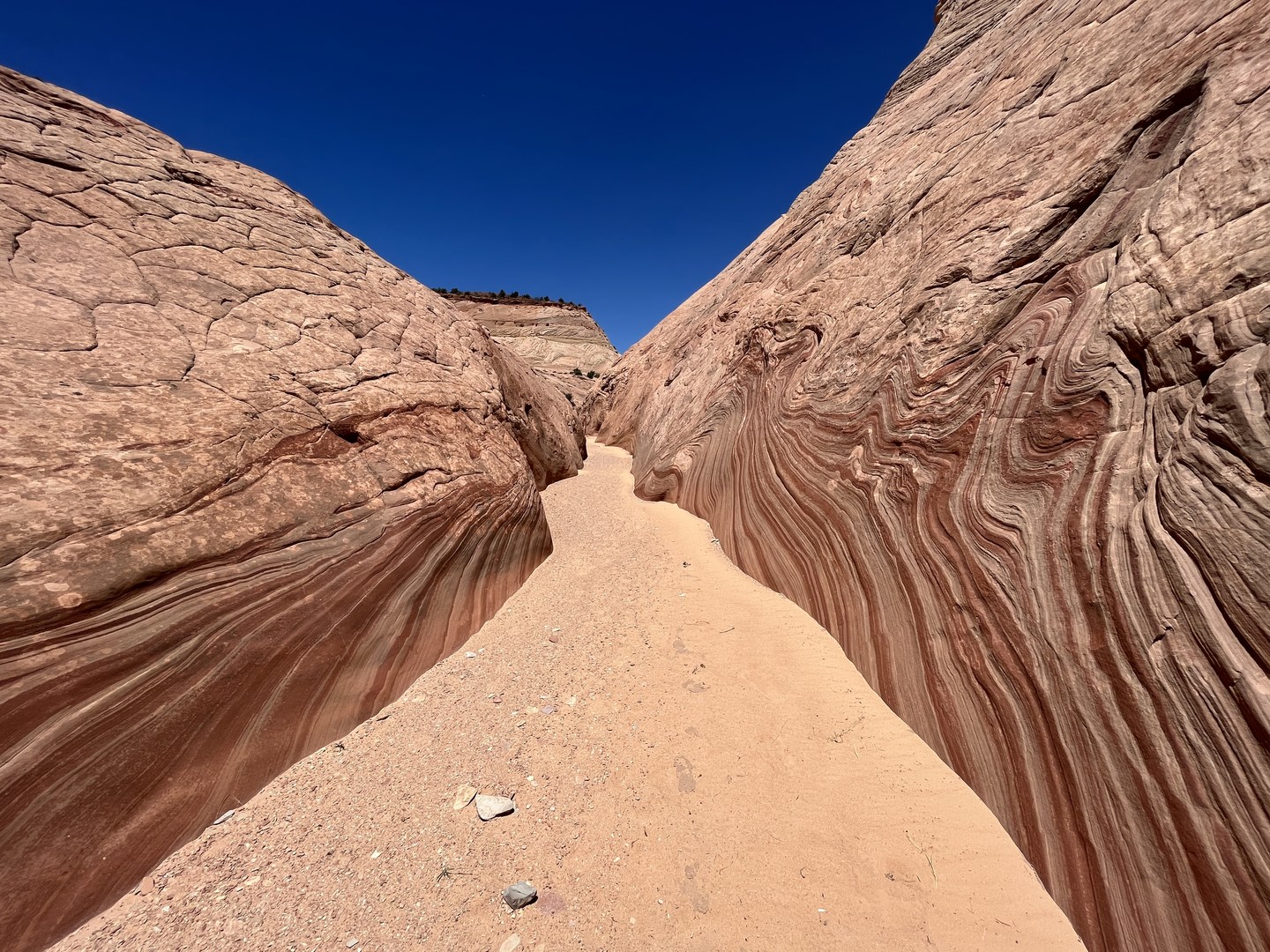 View of Bighorn Canyon.