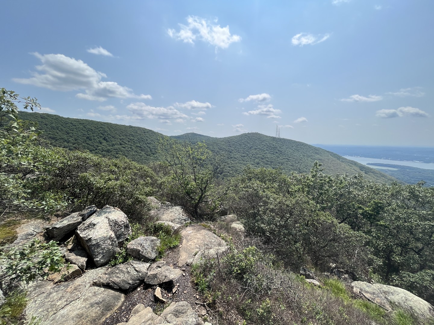 View south from ridge.