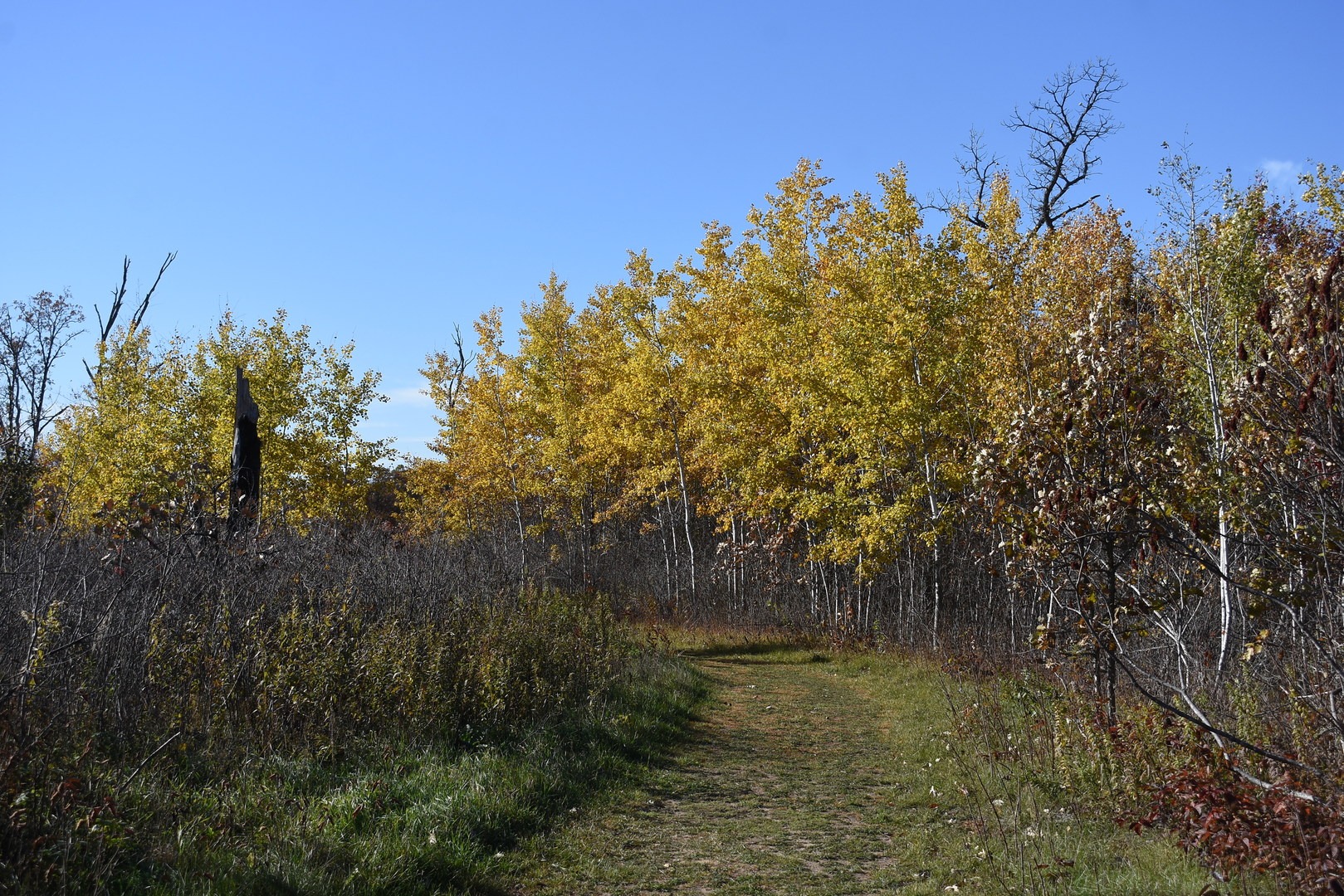 Mahnomen National Recreation Trail.