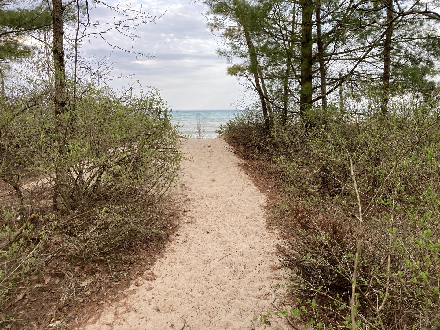 Path to Lake Michigan.