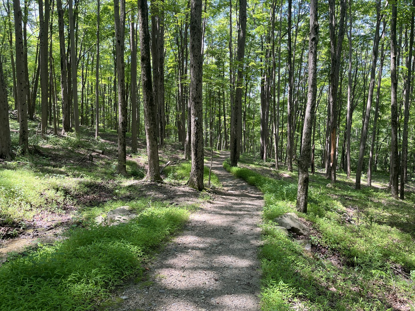 View of School Mountain Road.
