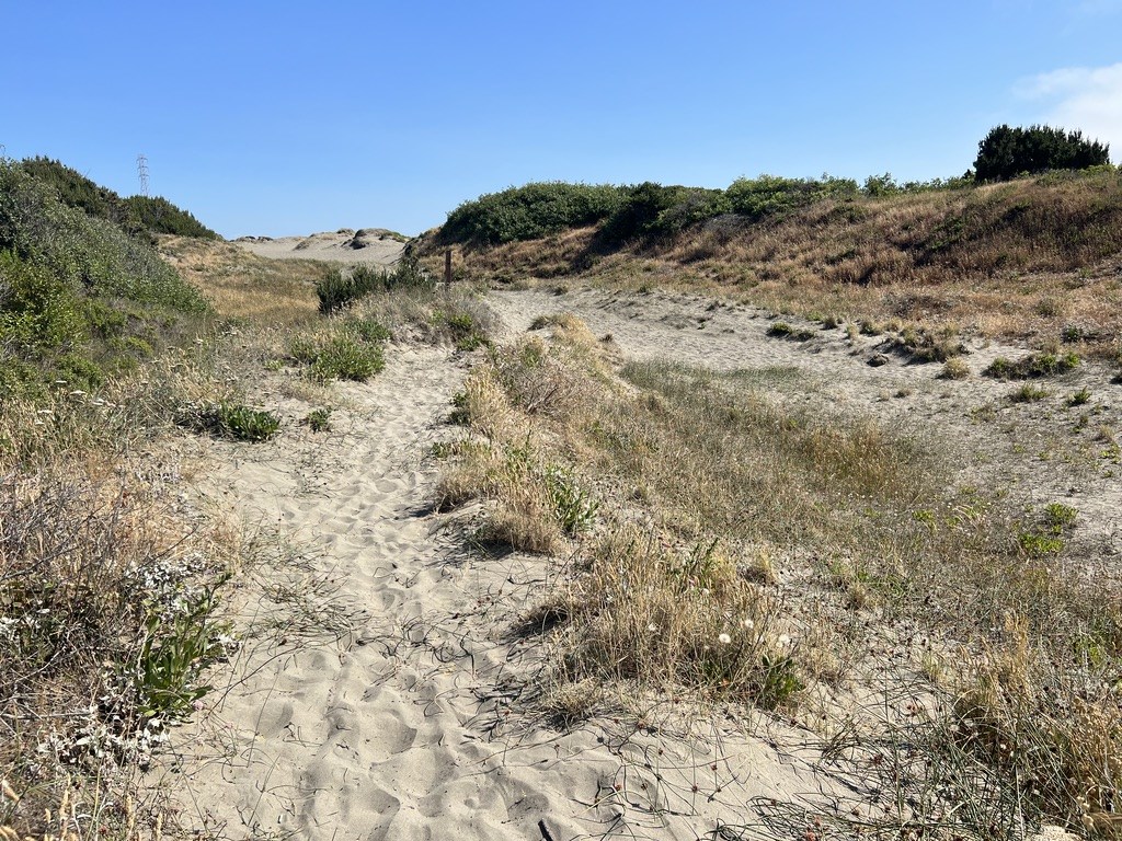 The trail that hikers can follow.